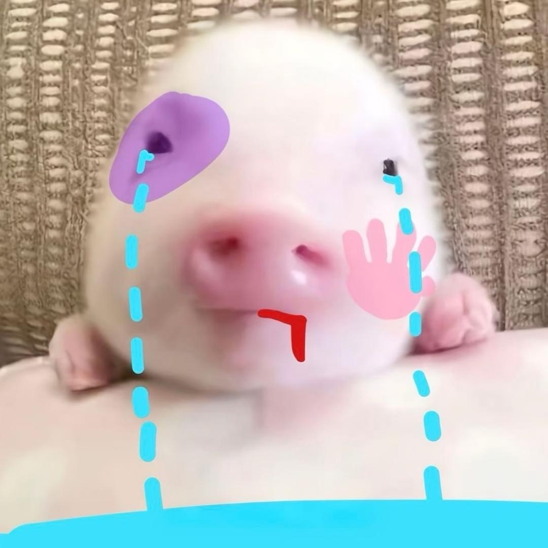 爱吃香菜77