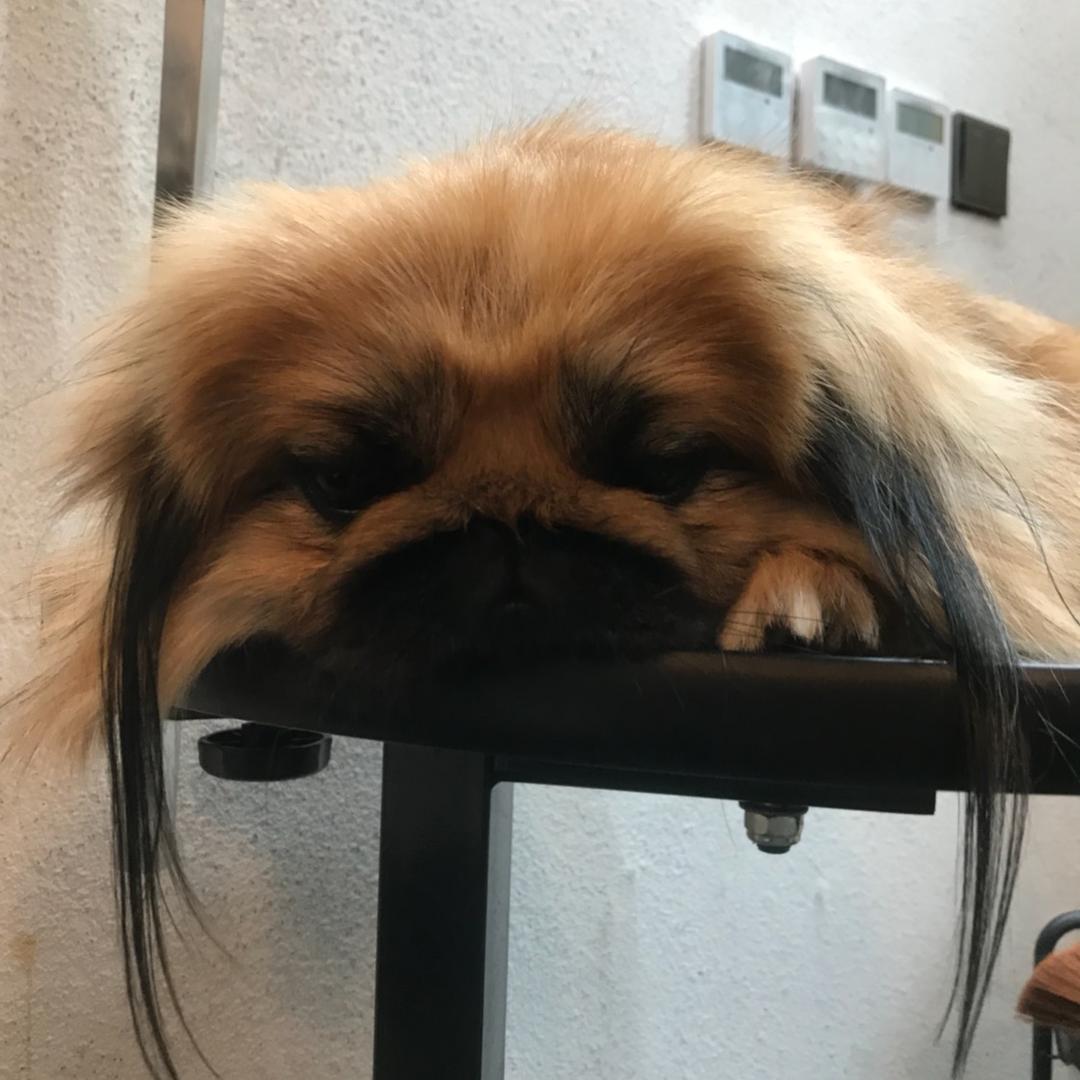 邓姨