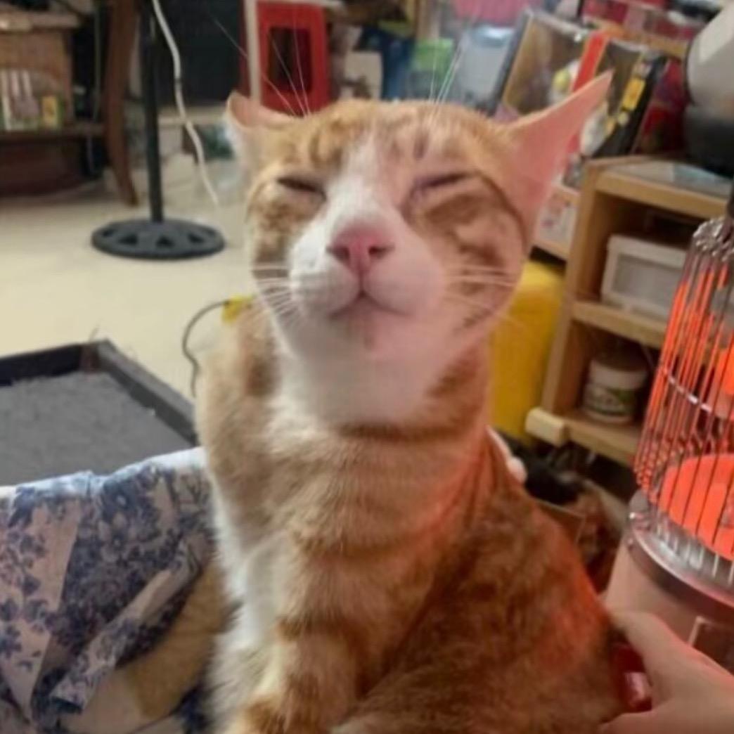 湖南文理学院（小羊学姐）