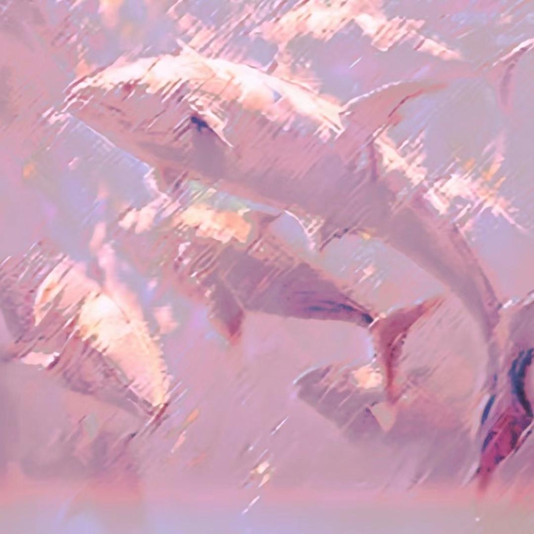 小鱼🐟