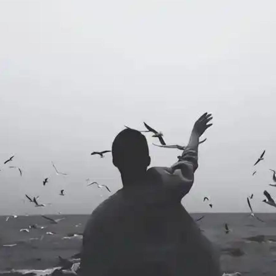 禹反-晓溪直播号