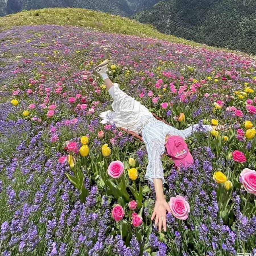 用户在