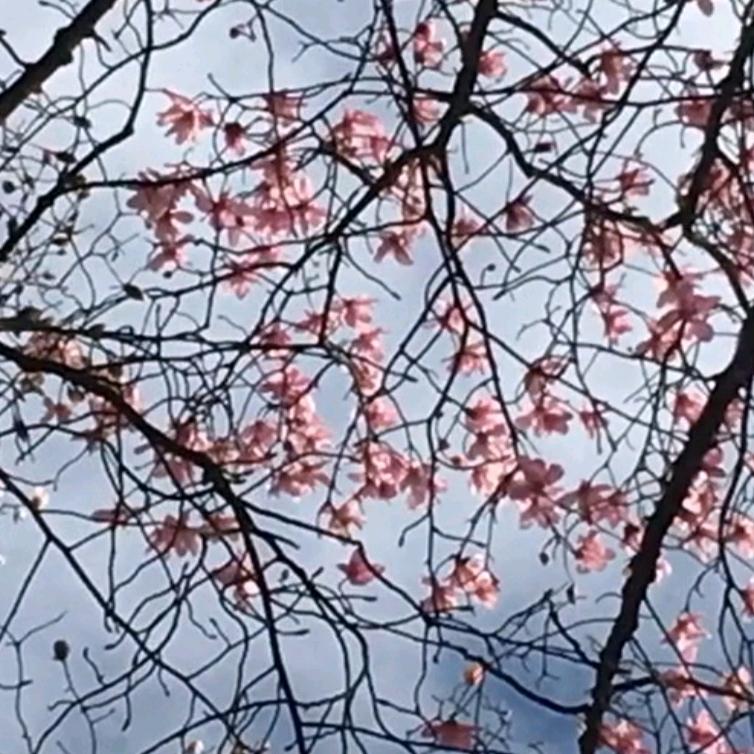 一生平安
