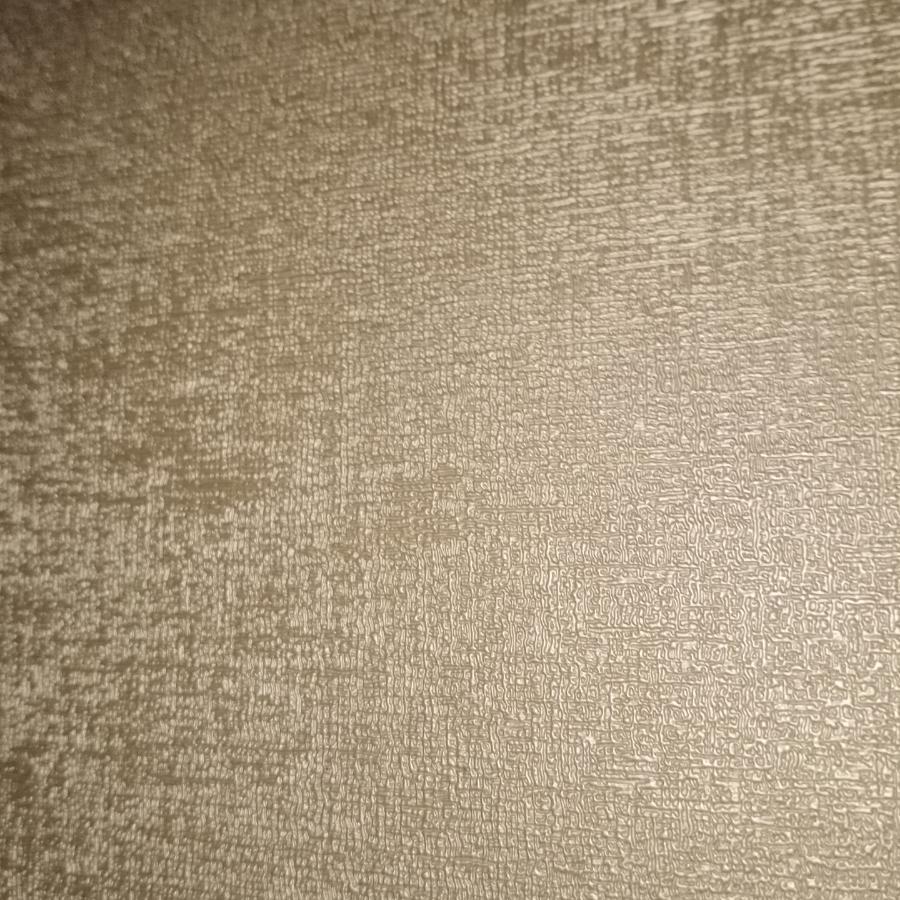 可爱的一人赵赵