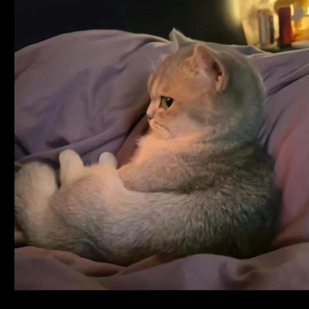 再见我的时光往事