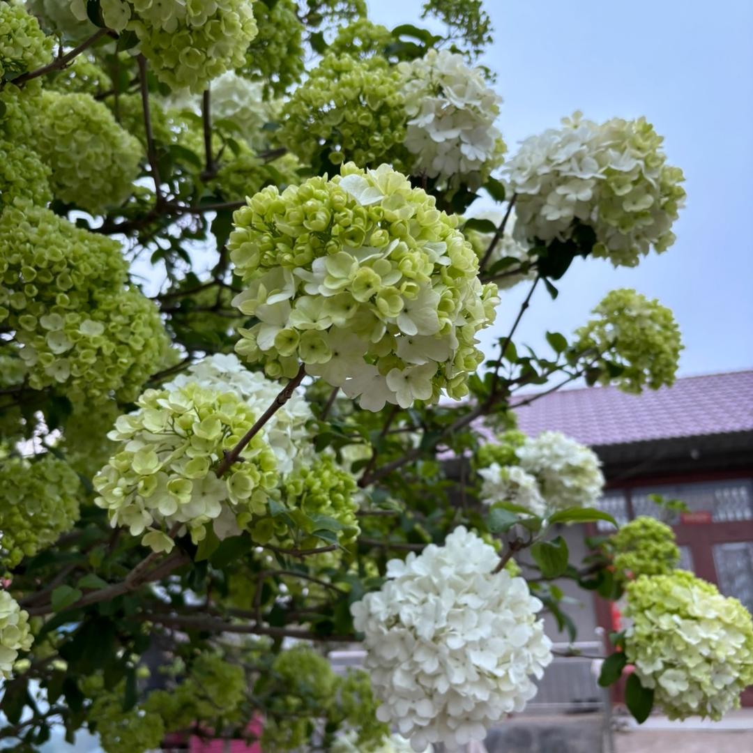 农林盛景坊