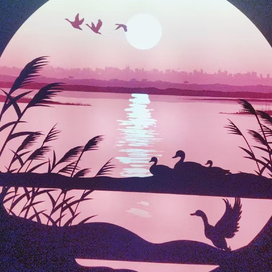 浣熊