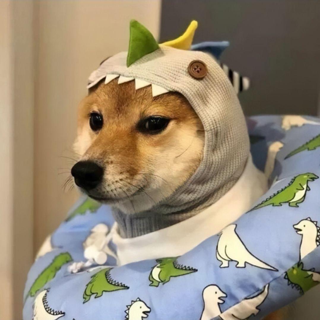 哈呼呼