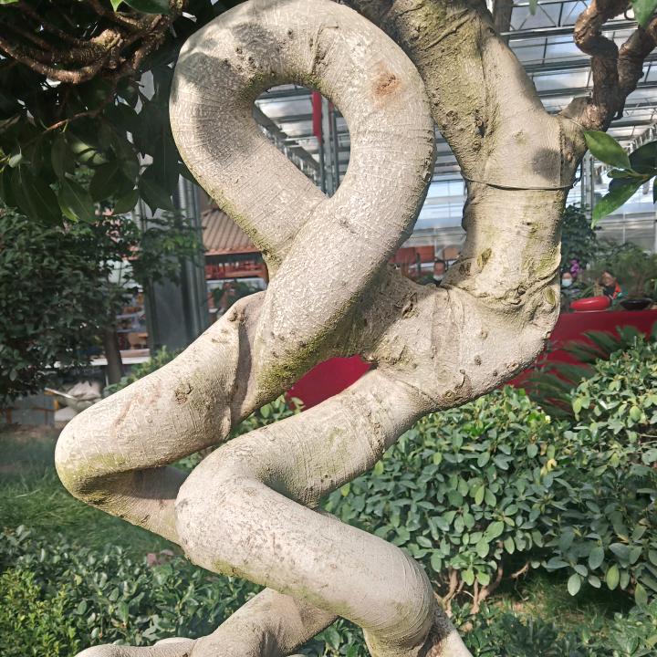 恒盛装饰{木工}