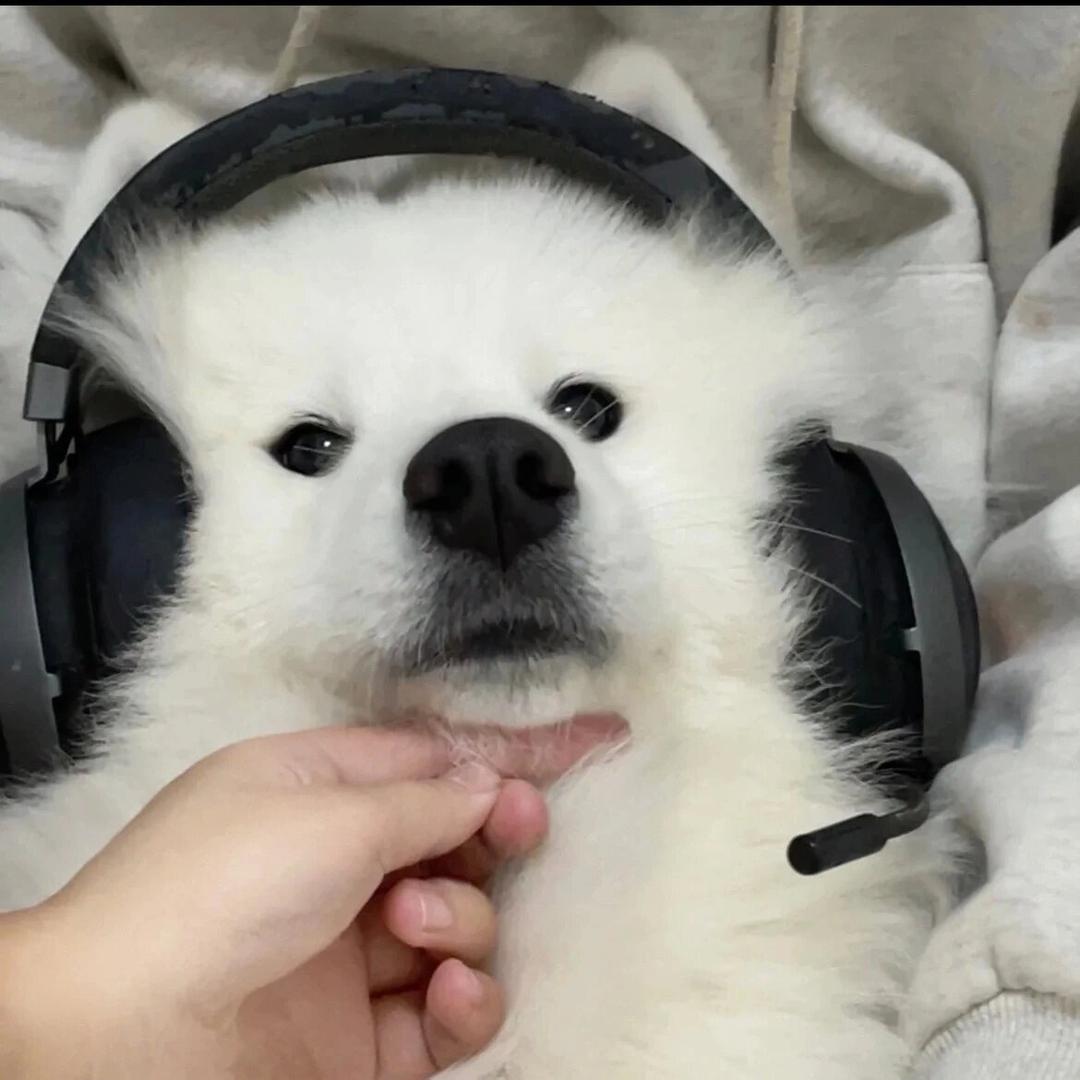 吃饭犯法.