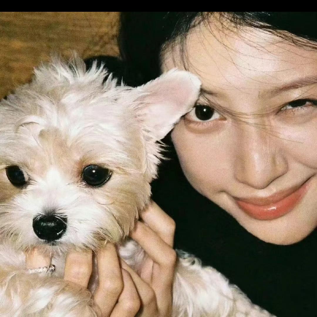 话不投机果粒多