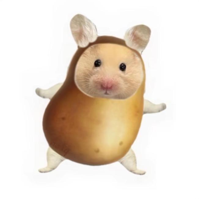 大金蛋