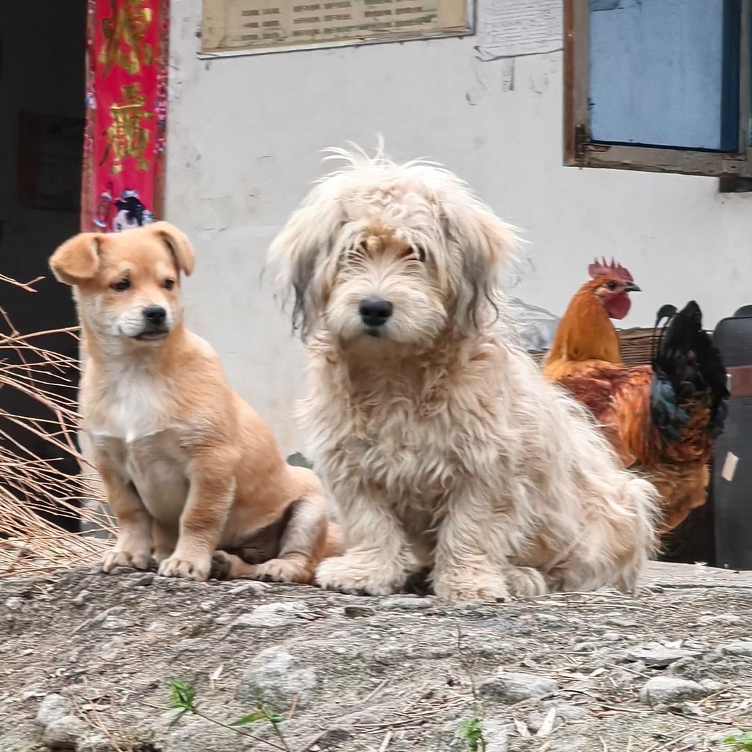 小徐.砥砺前行