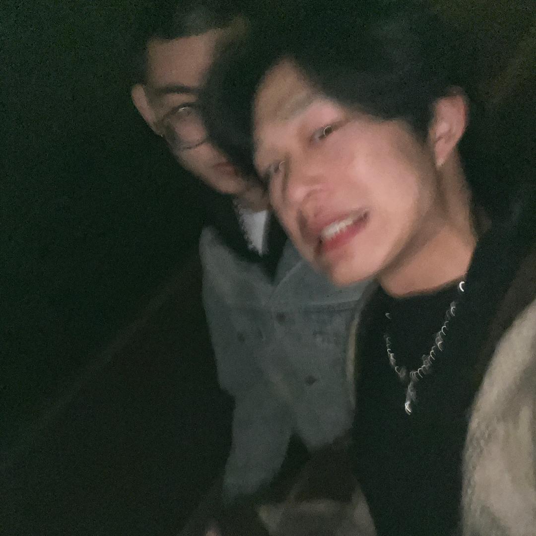 苏杨