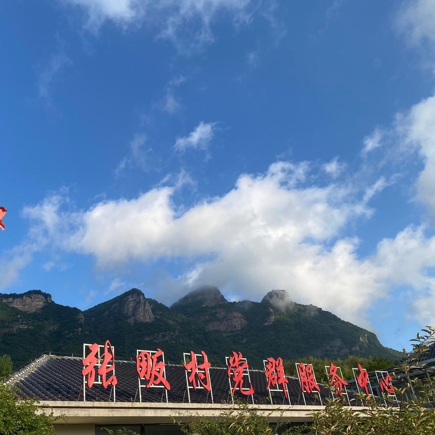 养心张畈⛰️