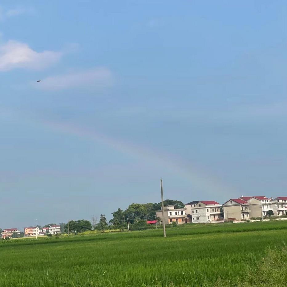 独立坚强的小明