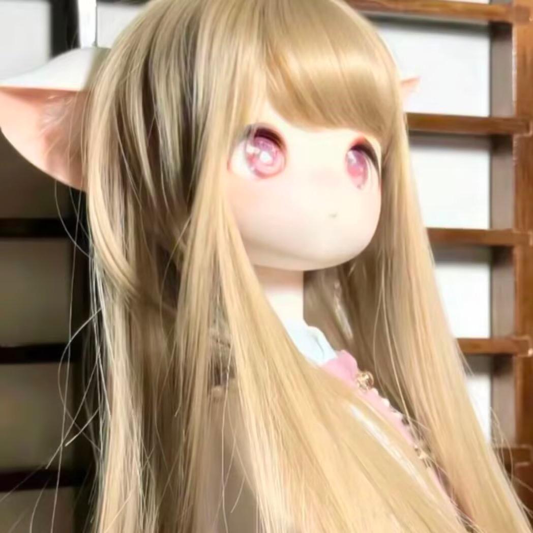 小猫印象