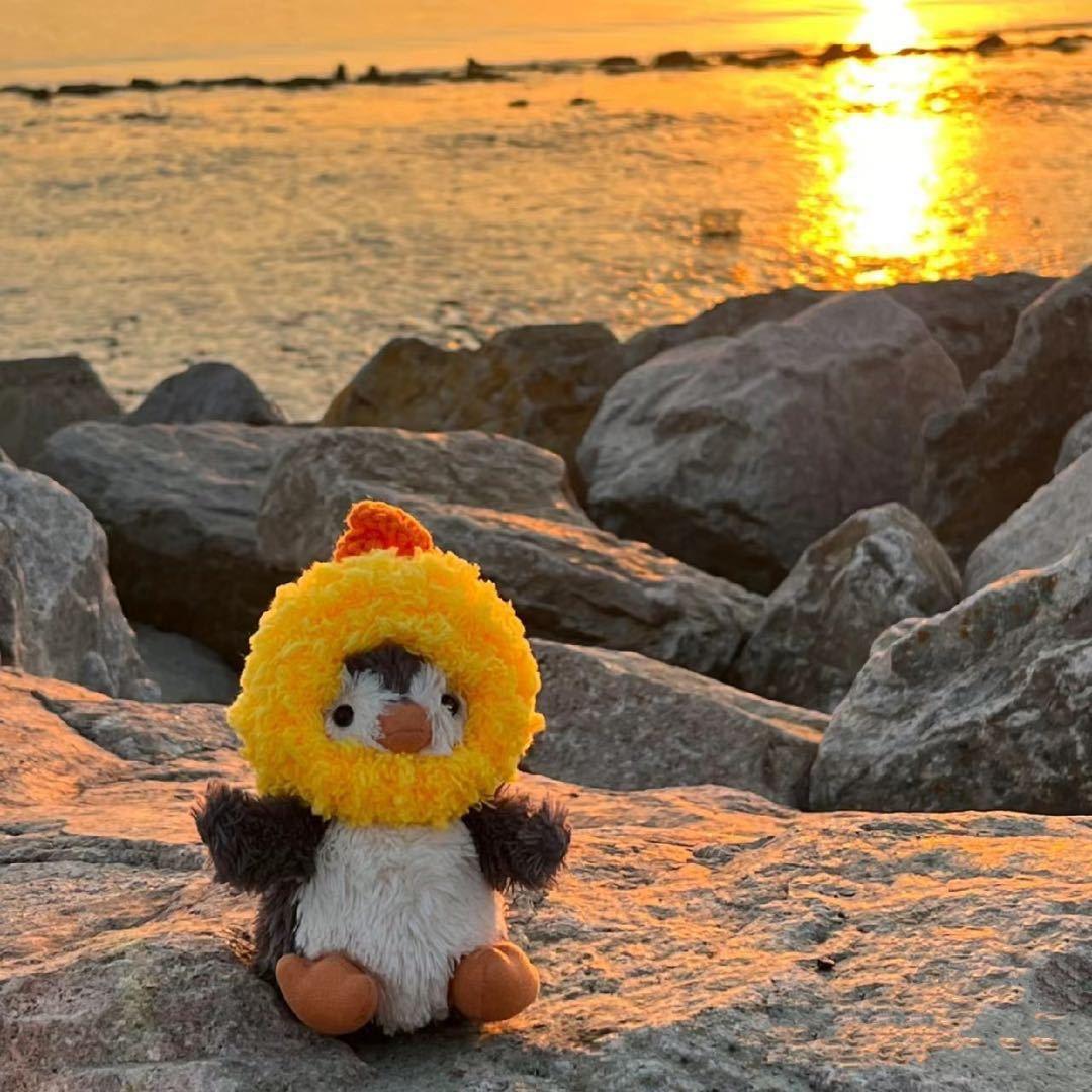 猪头不是猪🐷（电子榨菜小助理版）