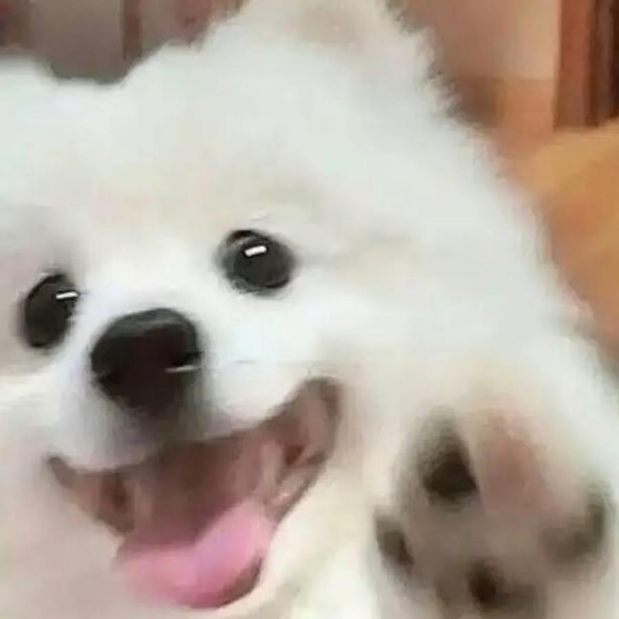李文碧