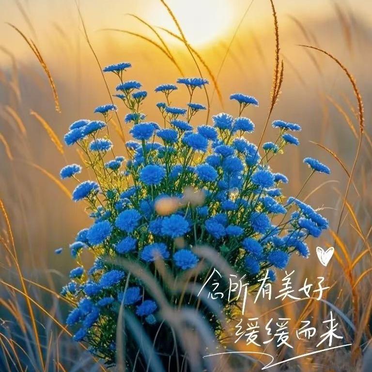 用户2265931557398