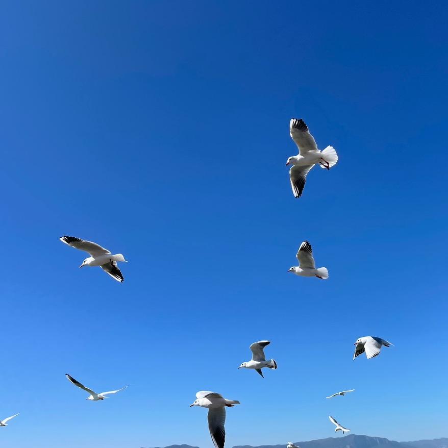 就是有点闷头像