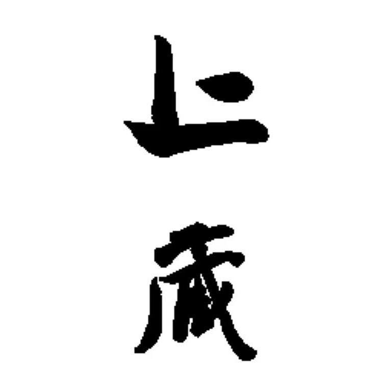 上藏书画院