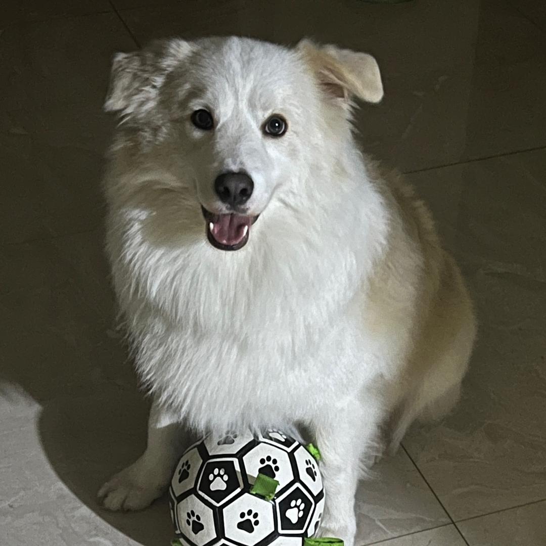 我来看看是个啥事