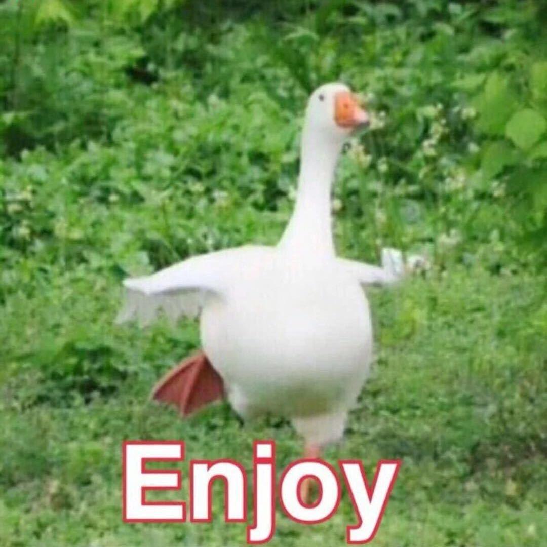 星诺（永劫PVE）