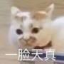 嘿嘿嘿