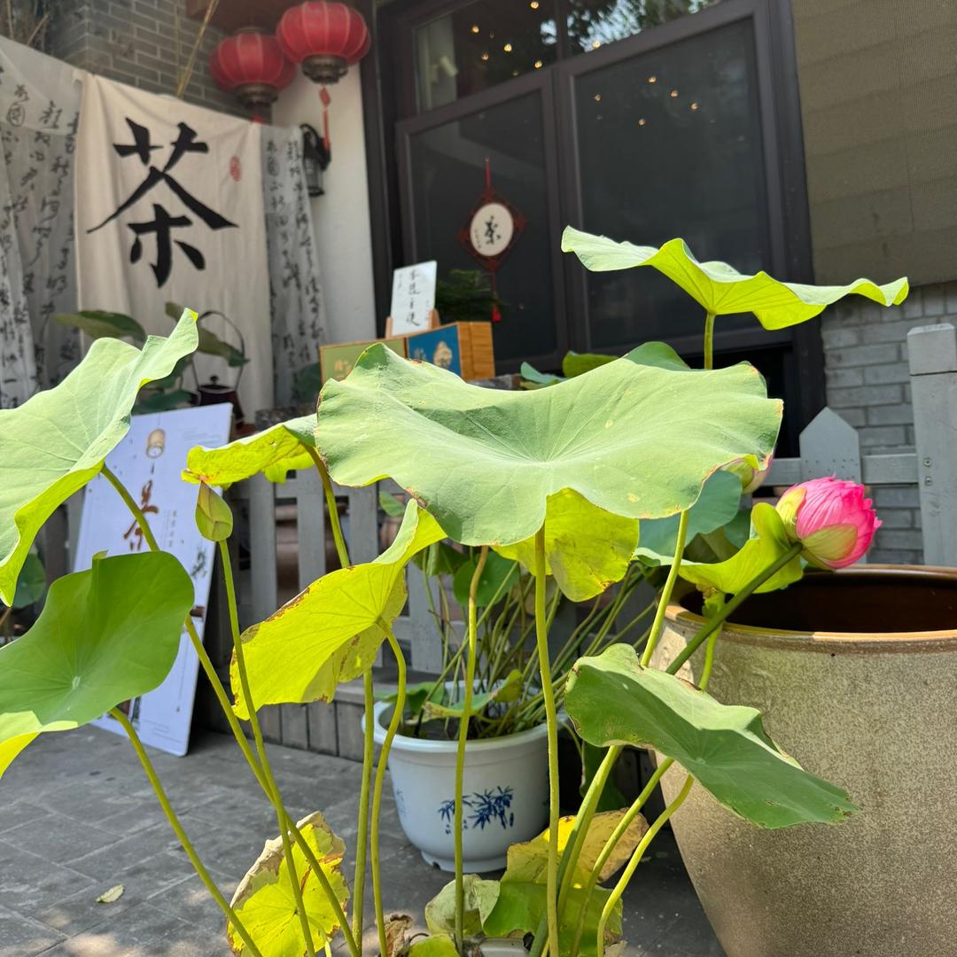 清一居官方号