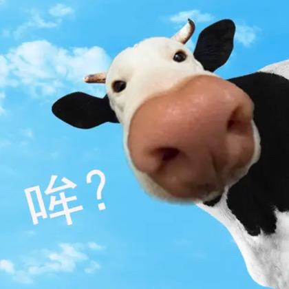 聪明蛋