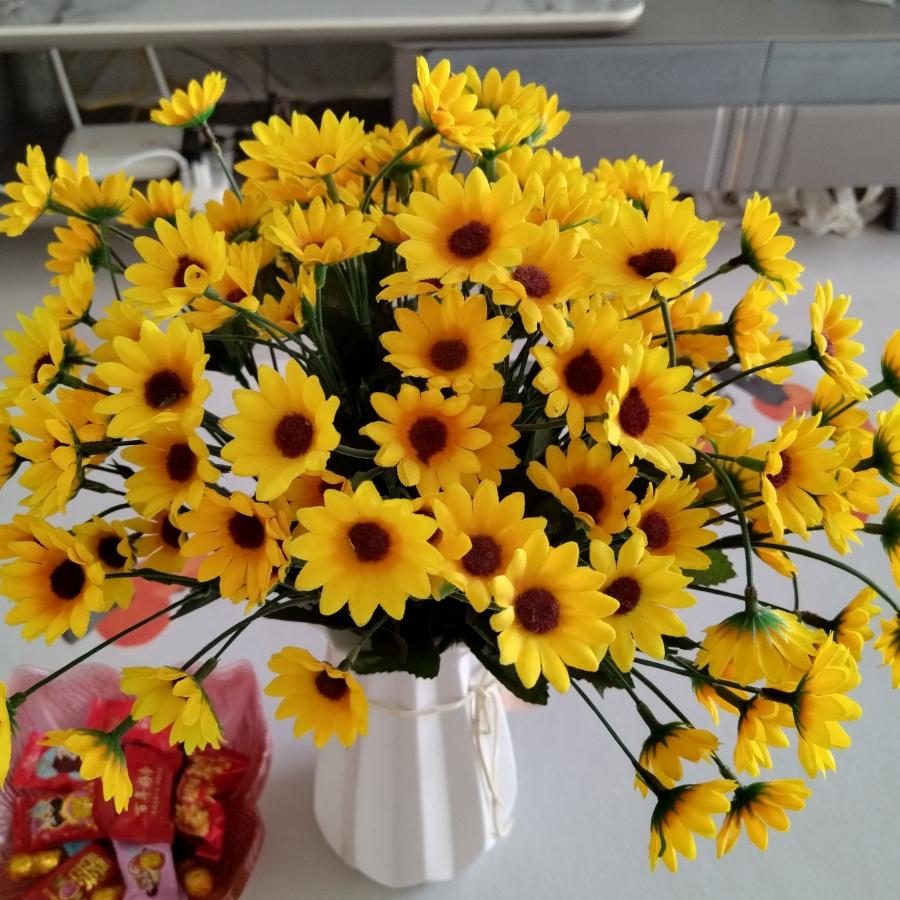 开心就好🌻