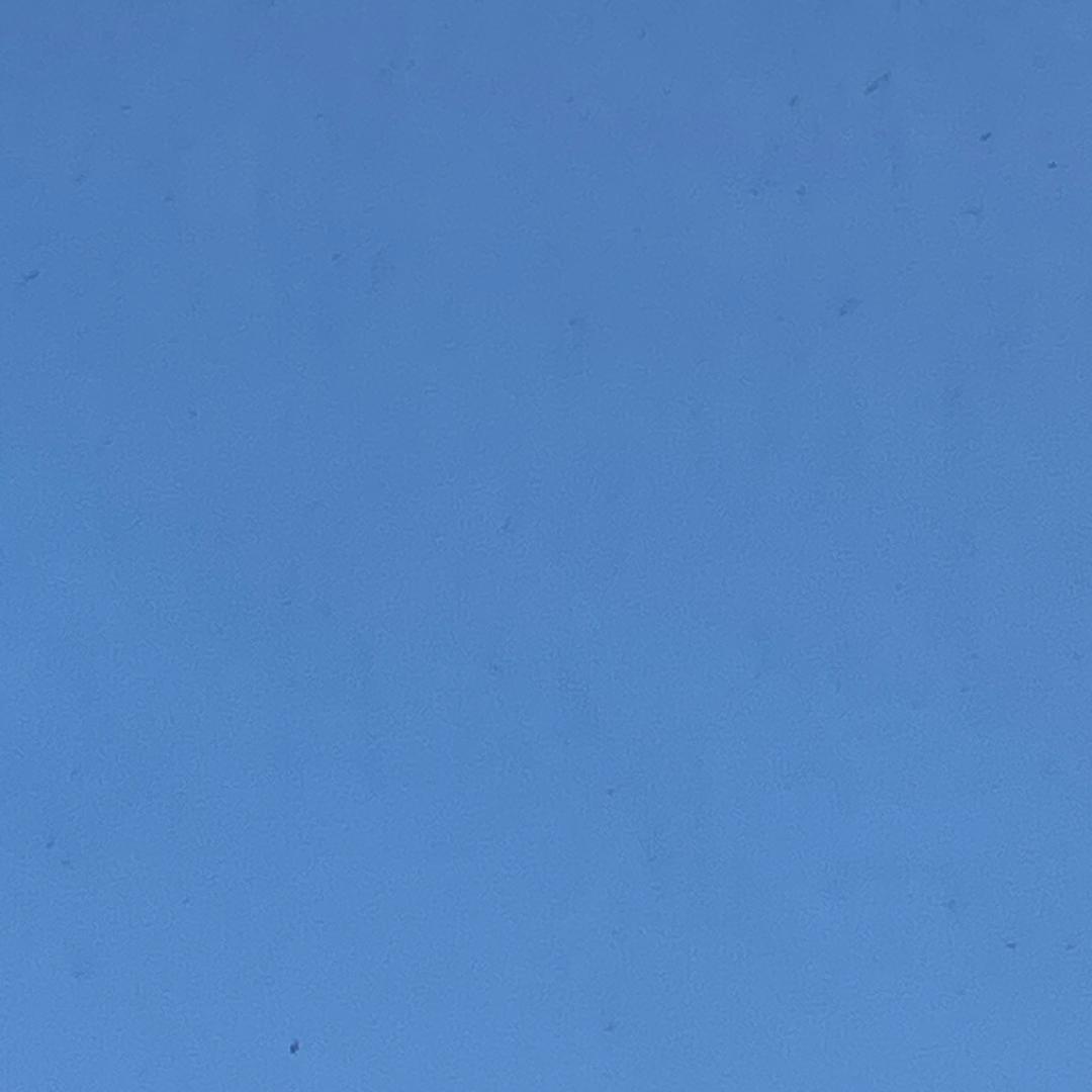 赔赔的直播号