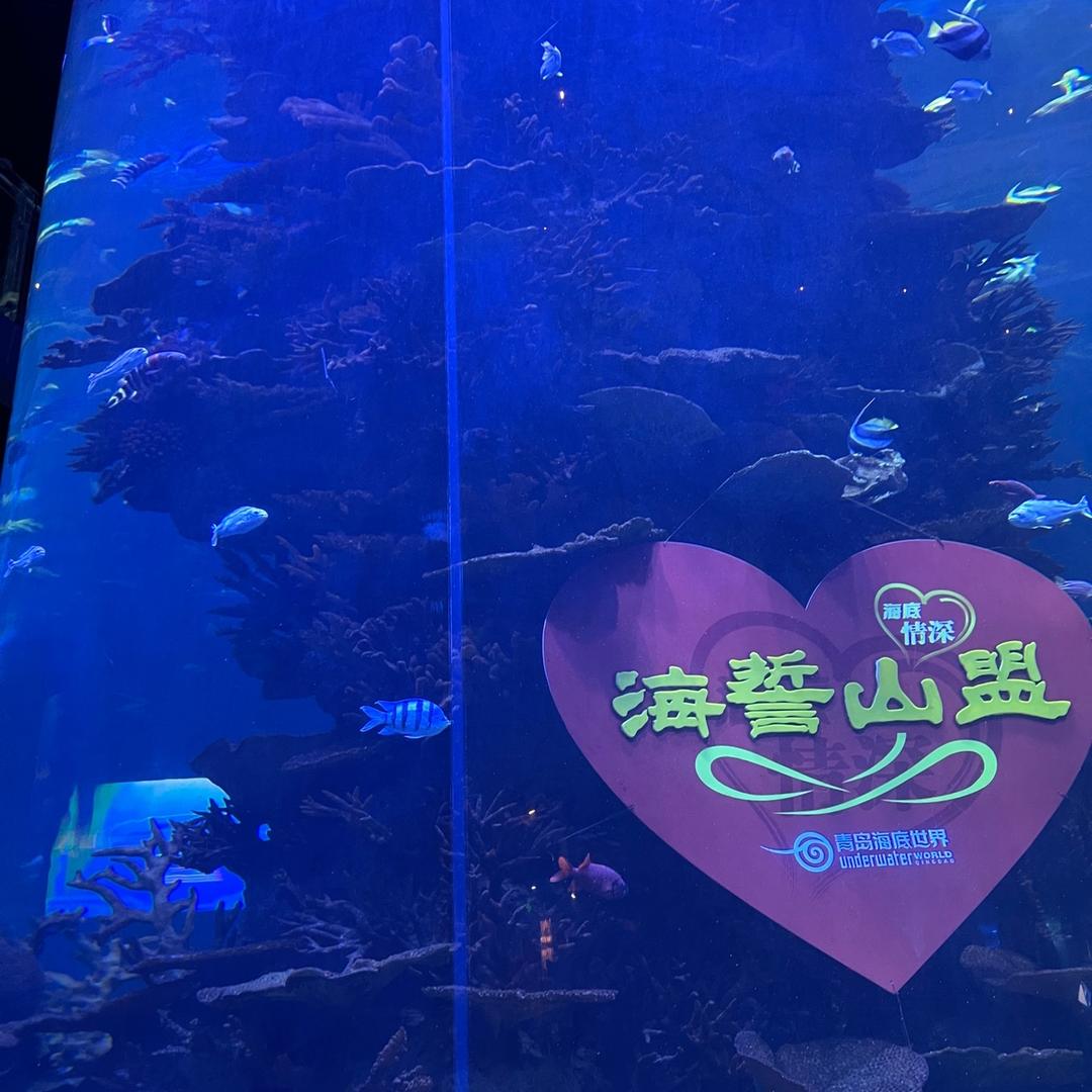 幸福张大民