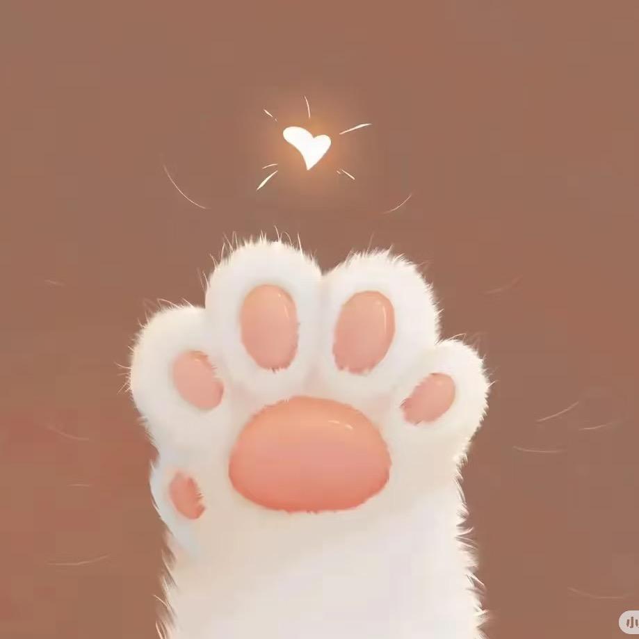 柴郡猫的错题本