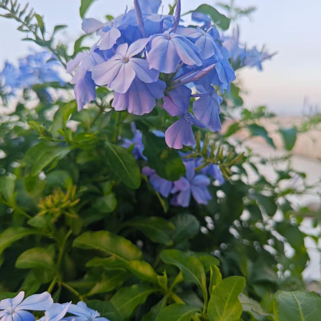 ► 当代沙雕图鉴