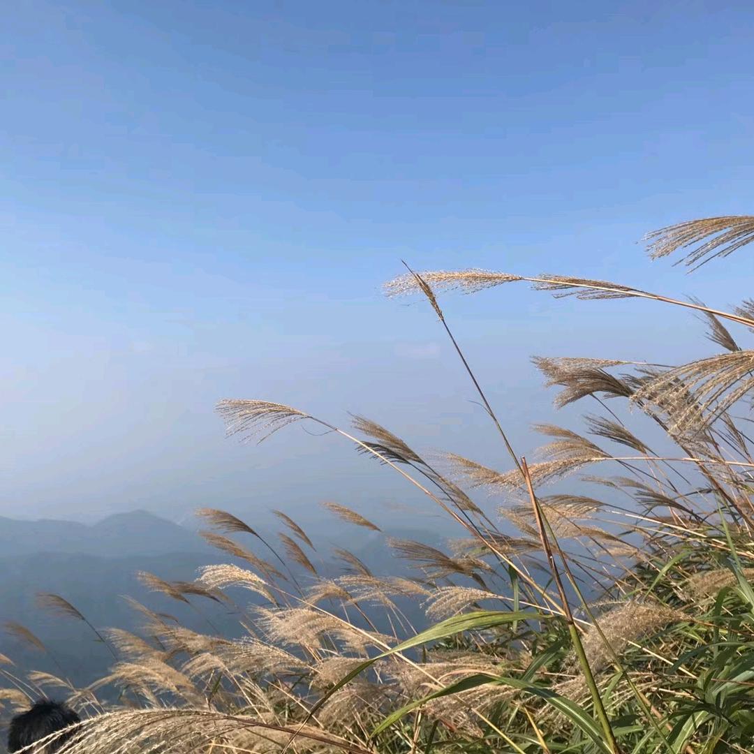 欧阳