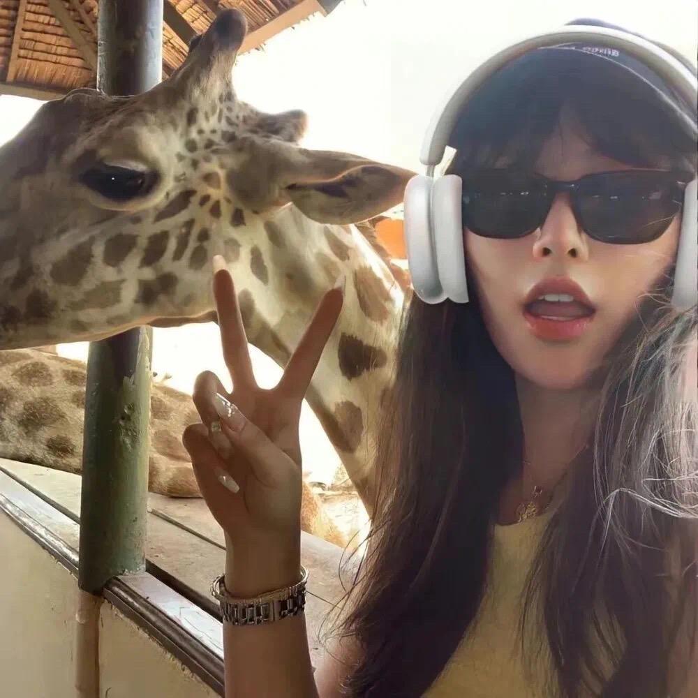 爱吃西红柿炒蛋🍅