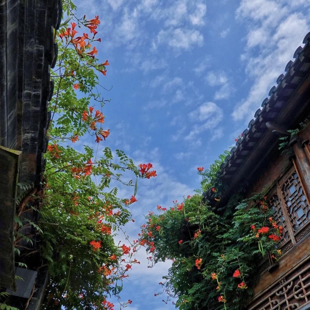 郁艺花开苗圃