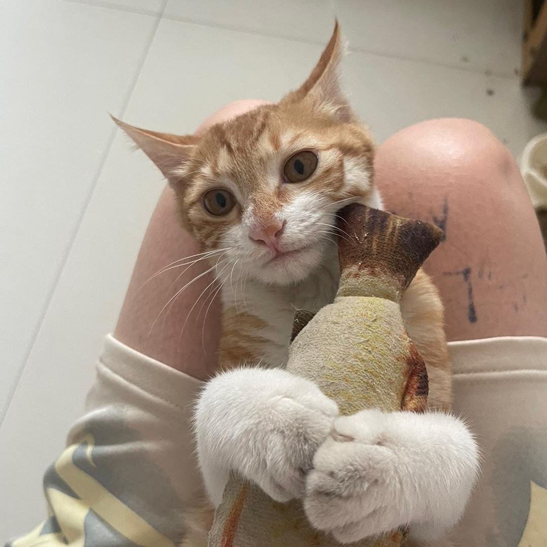 一间· 梦幻Henna（首创朔州海娜