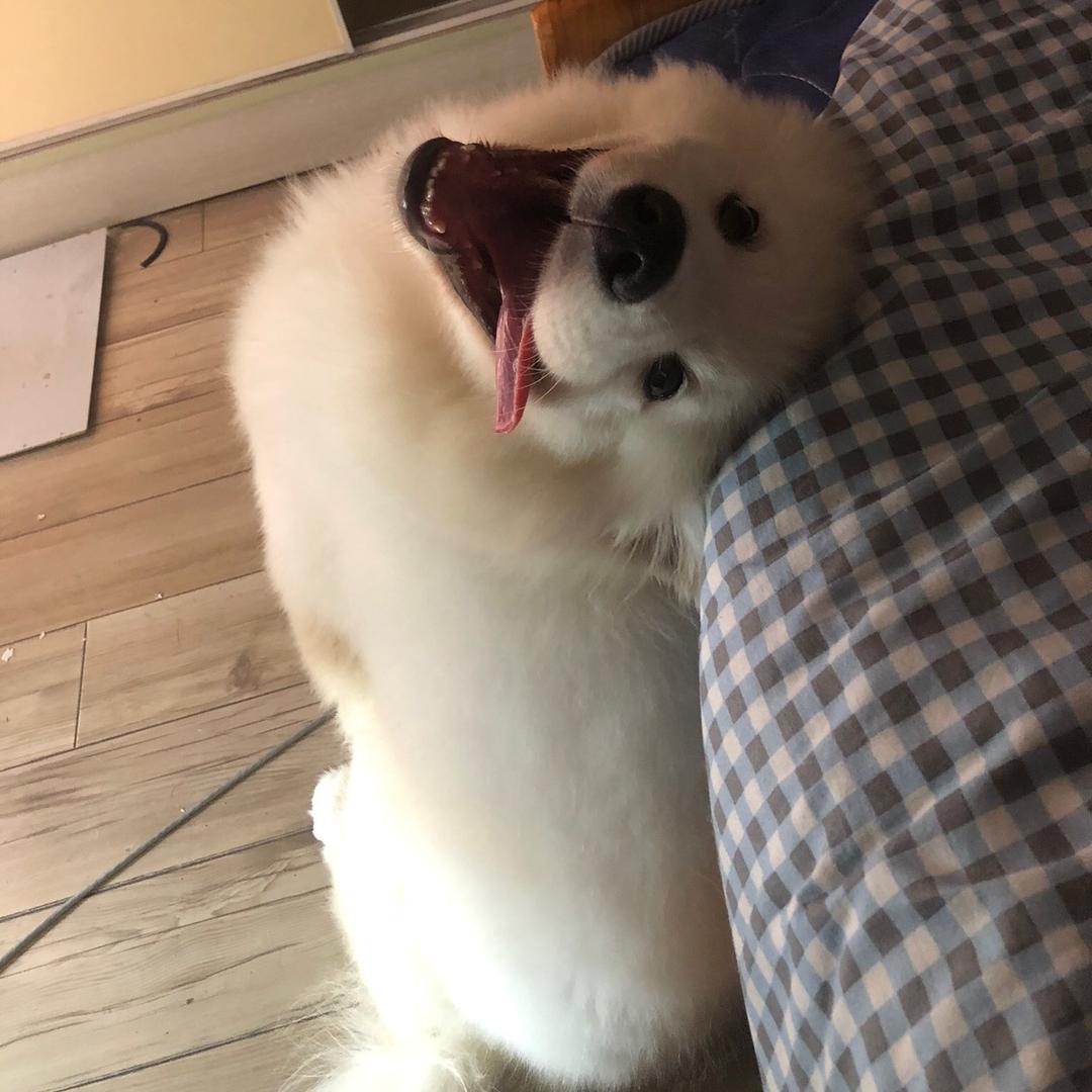 能看见楼梯
