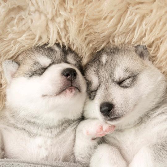 且听风吟，静待花开