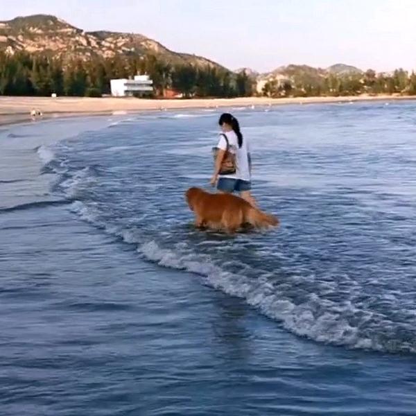 🌈🐷小雯🌸🌸