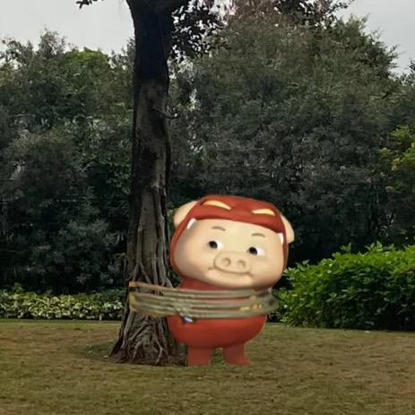猪翅绑