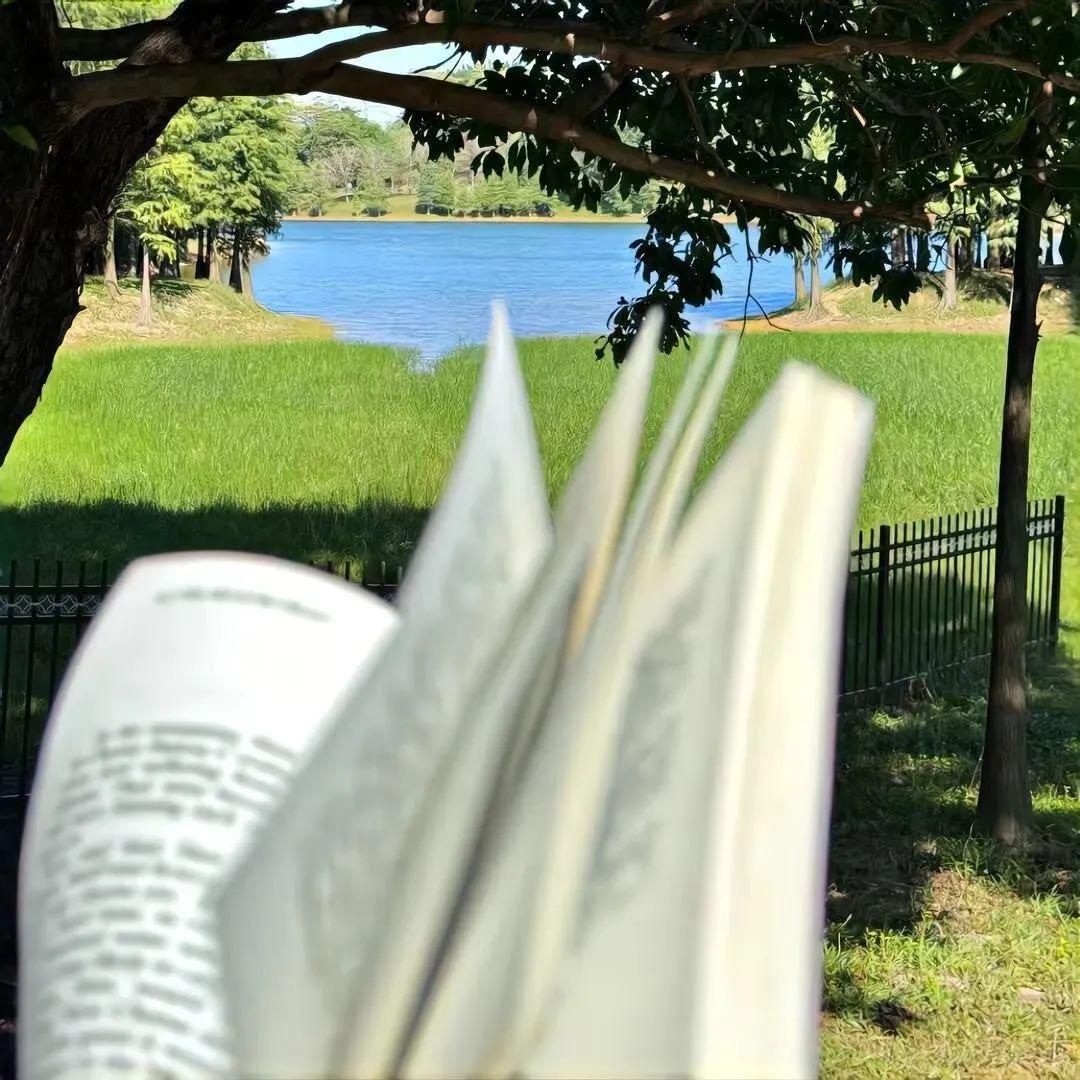 有为青年—仙绘青禾实践队