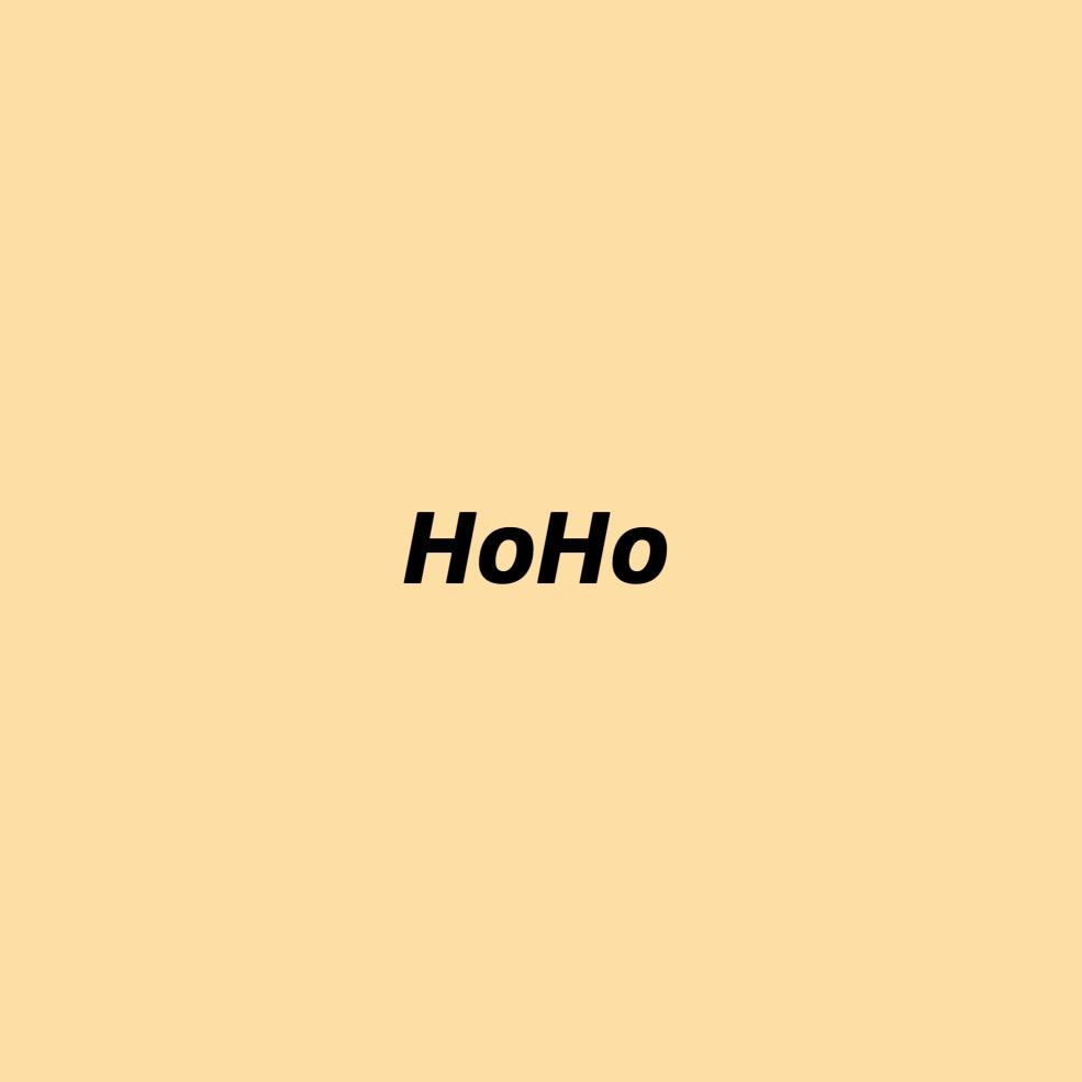 HoHo服装店