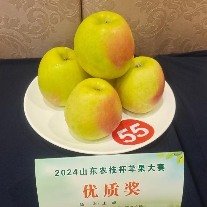 月香苹果苗，红思尼克苹果苗，水红秦冠苹果