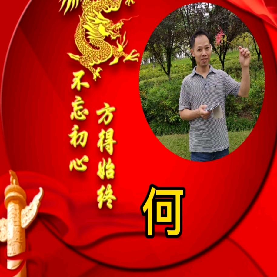风岚（手机摄影）