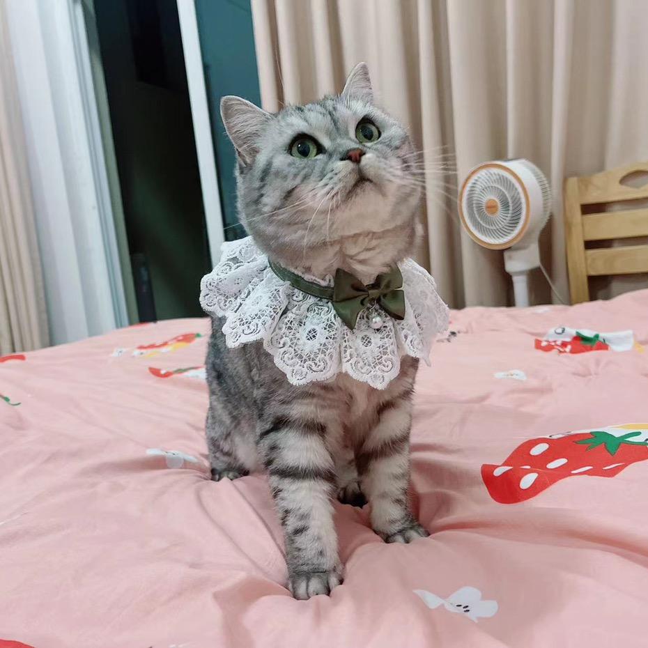 七七七七七七月