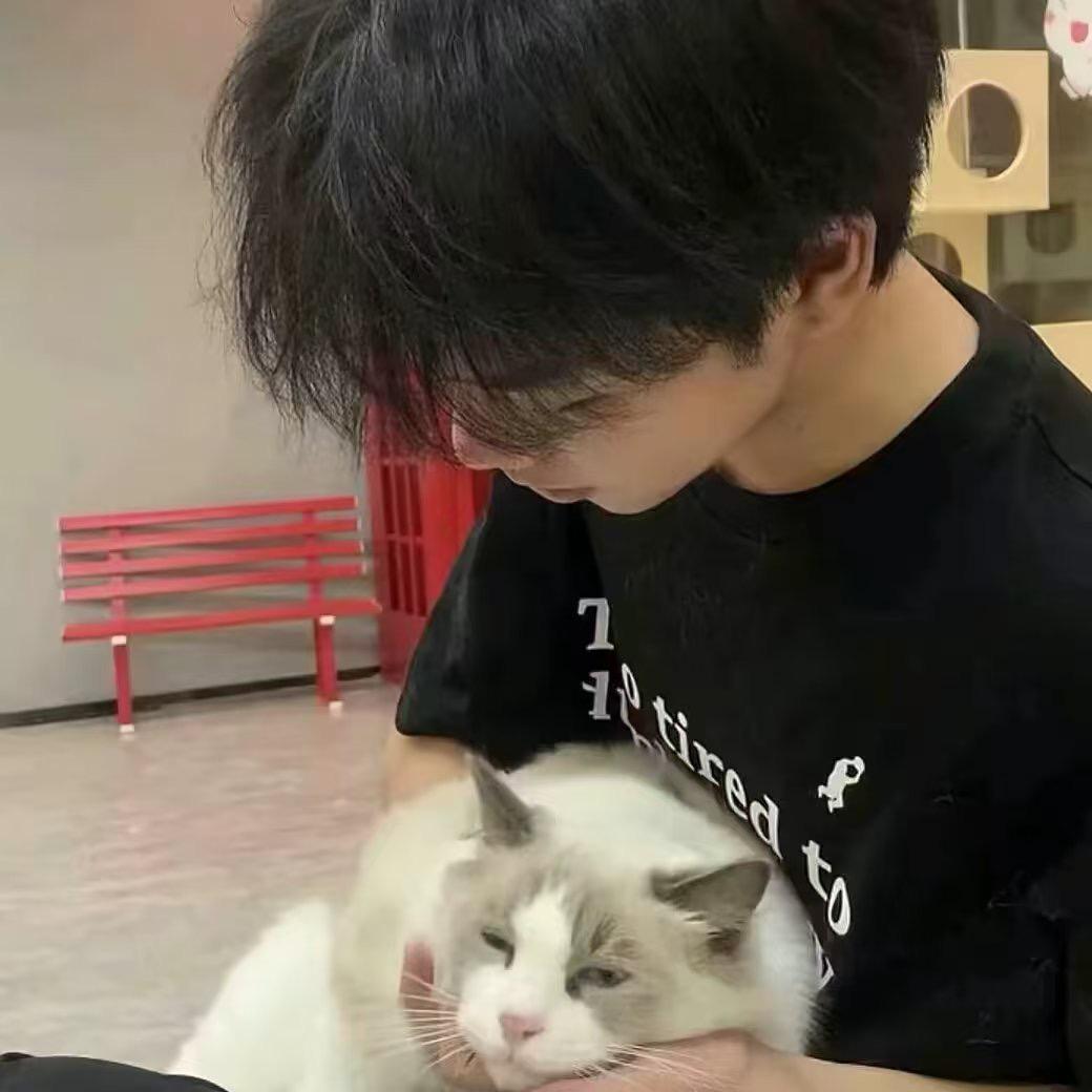 右飞 金铲铲之战